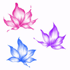 set of lotus flowers