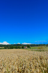 Landkreis Ansbach (Mittelfranken, Bayern)