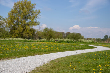 path in the park