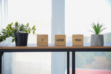 words written on wooden cubes i love you