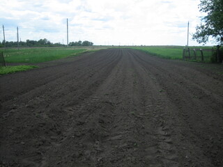 Smooth plowed field of fertile soil-chernozem.