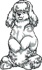 Teddy bear in a hat, black and white drawing, for engraving, printing on fabric, souvenirs