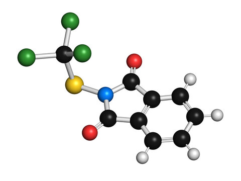 Folpet fungicide molecule, illustration