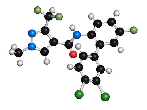 Bixafen fungicide molecule, illustration