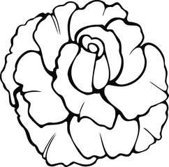 Vector image of a rose. Black outline on a white background.