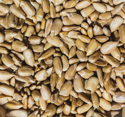 Peeled sunflower seeds in close-up, background with sunflower seeds