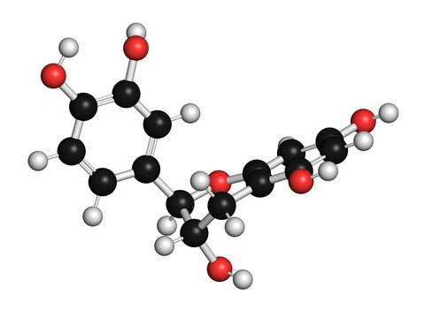 Catechin herbal antioxidant molecule, illustration