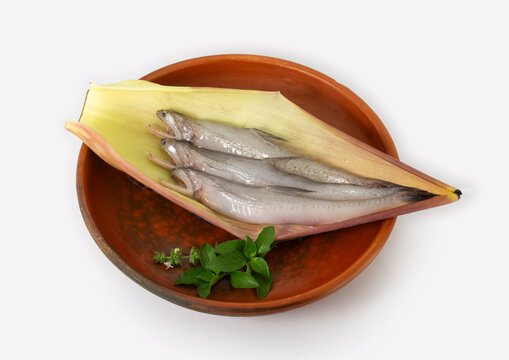 Fresh Bombay duck, bummalo, bombil, and boomla is a species of lizardfish or lota fish or loitta with banana basal on clay plate.