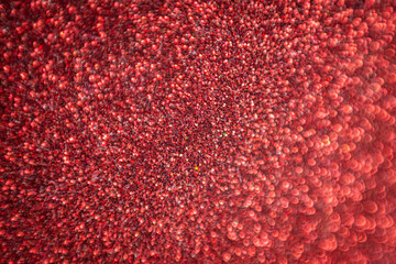 Shallow depth of field red texture.