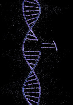 Genetic engineering, conceptual illustration