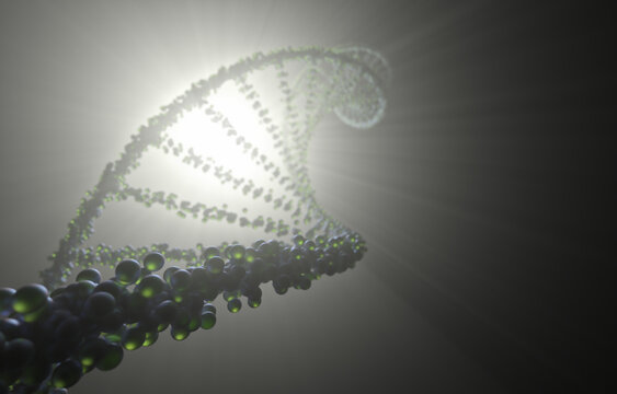 DNA molecule, illustration