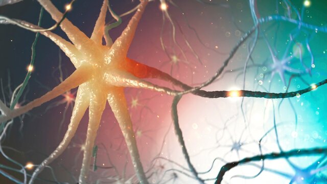 Artwork of neurons or brain cells