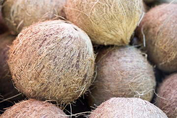 Coconuts background. Ripe coconuts in shells on the counter of a fruit market.
