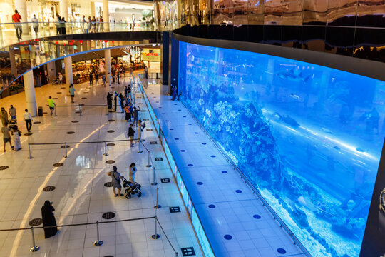 Dubai Mall Aquarium Luxury Shopping Center in the United Arab Emirates