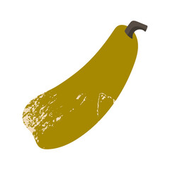 Squash, zucchini. Autumn vegetable. For fall decorative design, thanksgiving, halloween invitation, harvest flyer, textile. Vector flat cartoon illustration