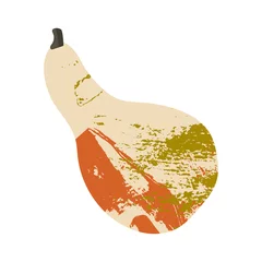 Gordijnen Pumpkin. Autumn vegetable. For fall decorative design, thanksgiving, halloween invitation, harvest flyer, textile. Vector flat cartoon illustration © Julia