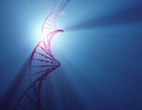 DNA molecule, illustration
