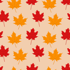 Autumn pattern with maple leaves
