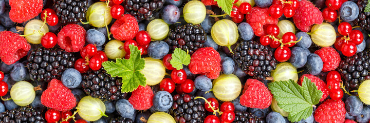 Berries fruits berry fruit strawberries strawberry blueberries blueberry panorama background