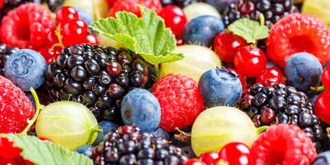 Berries fruits berry fruit strawberries strawberry blueberries blueberry panorama