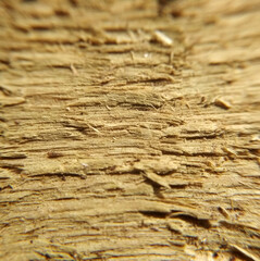 wood texture closeup