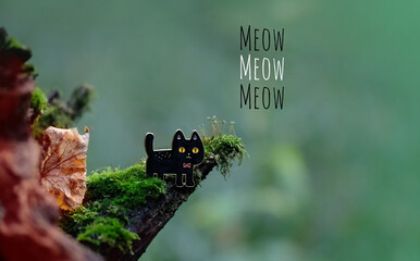 black cat toy in forest, green natural background. Meow. black cat - symbol of witchcraft, Halloween