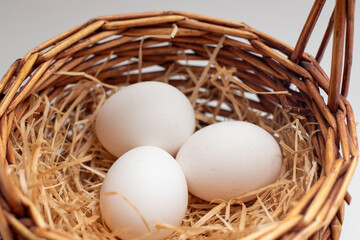 Chicken eggs in straw basket