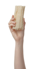 Woman holding natural loofah on white background, closeup. Conscious consumption