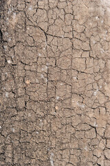 texture of the dry cracked ground