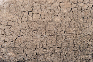 texture of the dry cracked ground