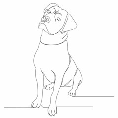 continuous line drawing dog sketch