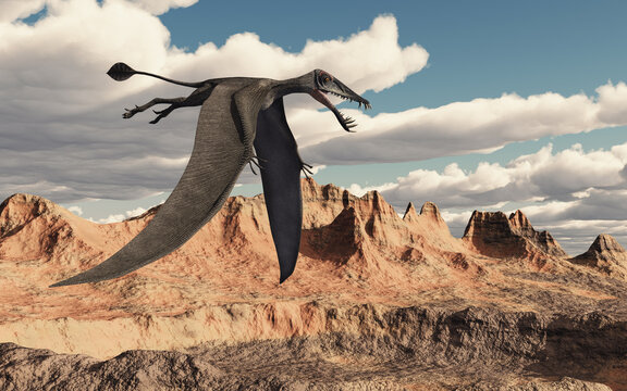 Flugsaurier Dorygnathus über einer Landschaft