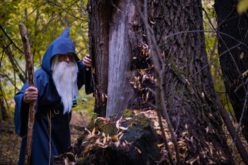 A wizard with a long gray beard and a cloak in a deep forest. An elderly man in a witcher costume
