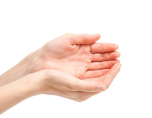 Close-up of beautiful woman's hands, palms up. Isolated on white background