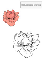 Hand drawn peony flower adult coloring book page with colored template. Doodle style. Black and white vector illstration isolated on white background.