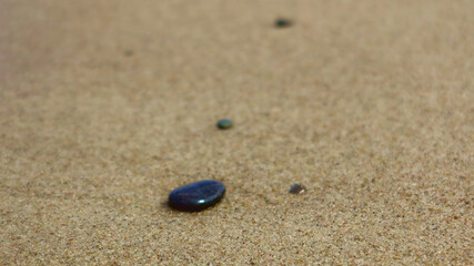 Fototapeta na wymiar Small stone on the sandy beach, closeup, selective focus, panoramic view