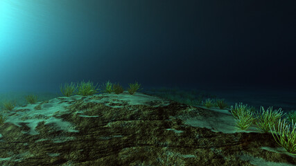 Fototapeta na wymiar Meeresboden mit Korallen