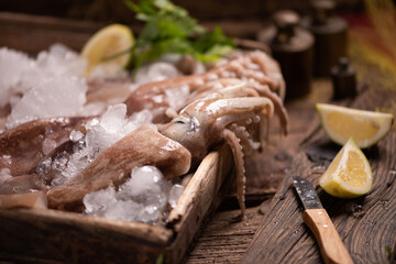 Fresh squid for sale on the market