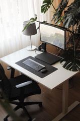 Work place at home with curved screen and orthopaedic chair.Interior with plants