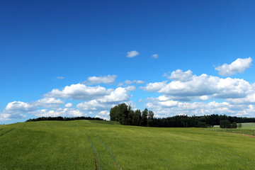 Beautiful landscape of northern Poland. Polish summer rural landscape.