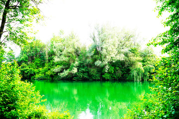 Landscape at the Rolandsee near Beckum. Green nature at a lake in Germany.