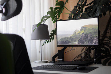 Work place with curved screen and orthopaedic chair at home.Interior with plants