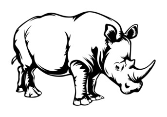 Rhino in black and white style background. Modern vector illustration. Abstract background. Isolated vector illustration. Endangered animal.