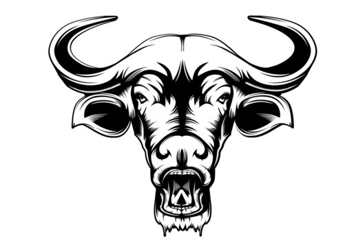 Cape buffalo hunting logo. Buffalo isolated vector. Catle farm modern emblem.
