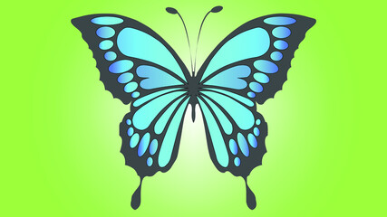 Blue Butterfly on a green background vector