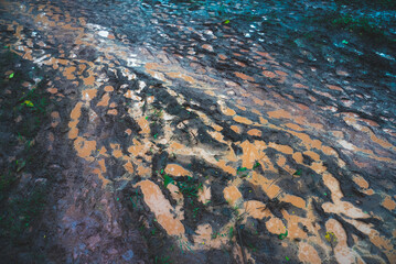 wet human footprint track on dirty mud, print, texture of foot path pattern background in nature ground, abstract imprint footstep walk from shoe or boot