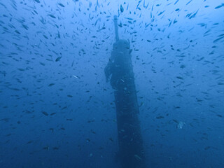 Wreck diving at Haven Wreck in the gulf of genova