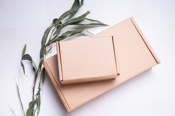 Brown flat cardboard carton box decorated with dried leaves, top view