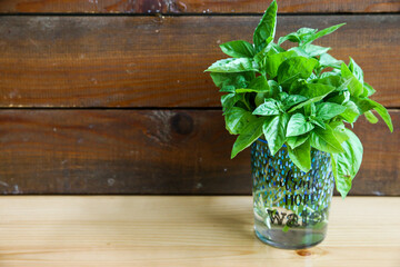 fresh basil in a glass cup in front of a wooden background
