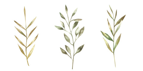 Fototapeta na wymiar set of branches with green leaves, botanical illustration